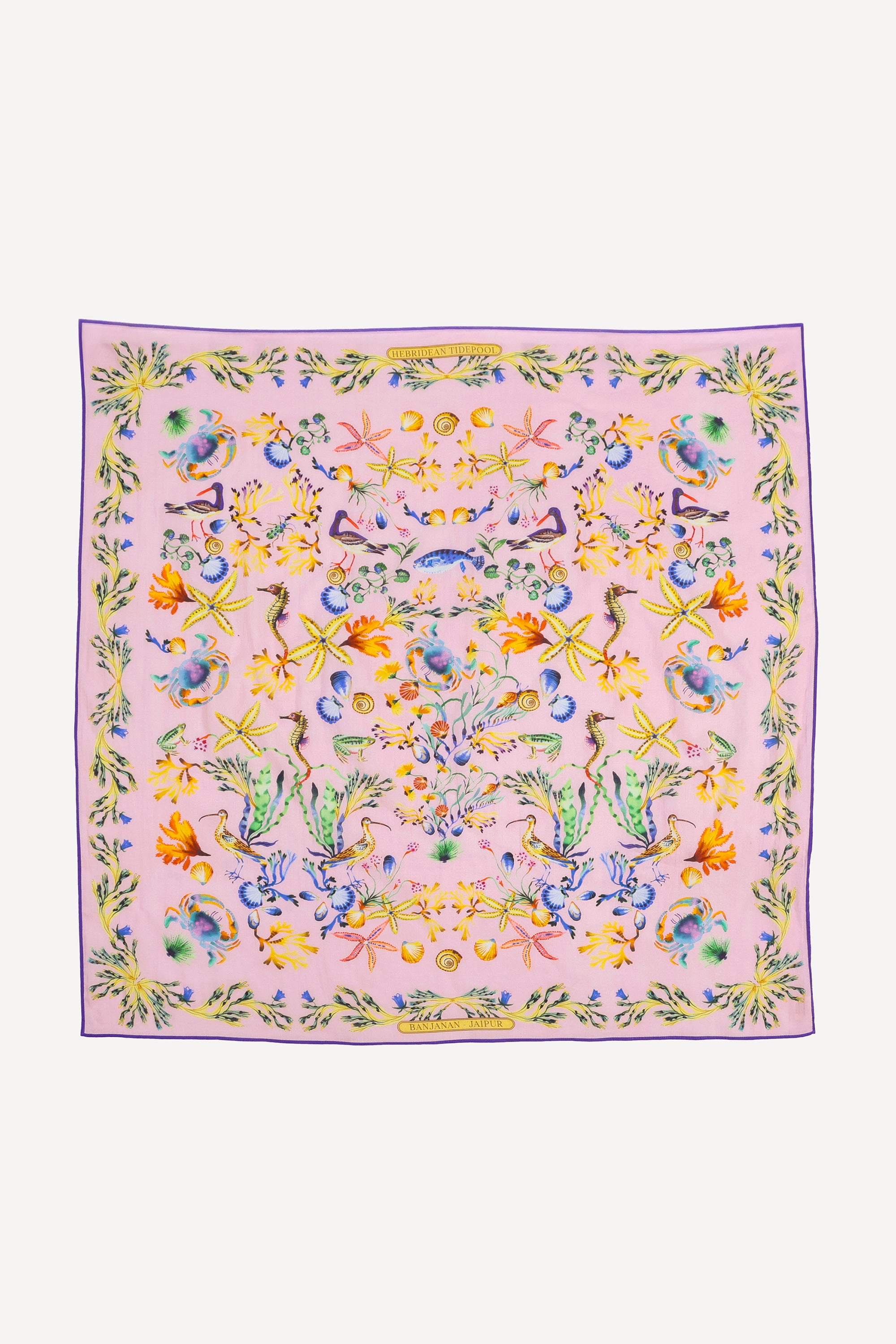 Carolina Scarf Tidepool Conch
