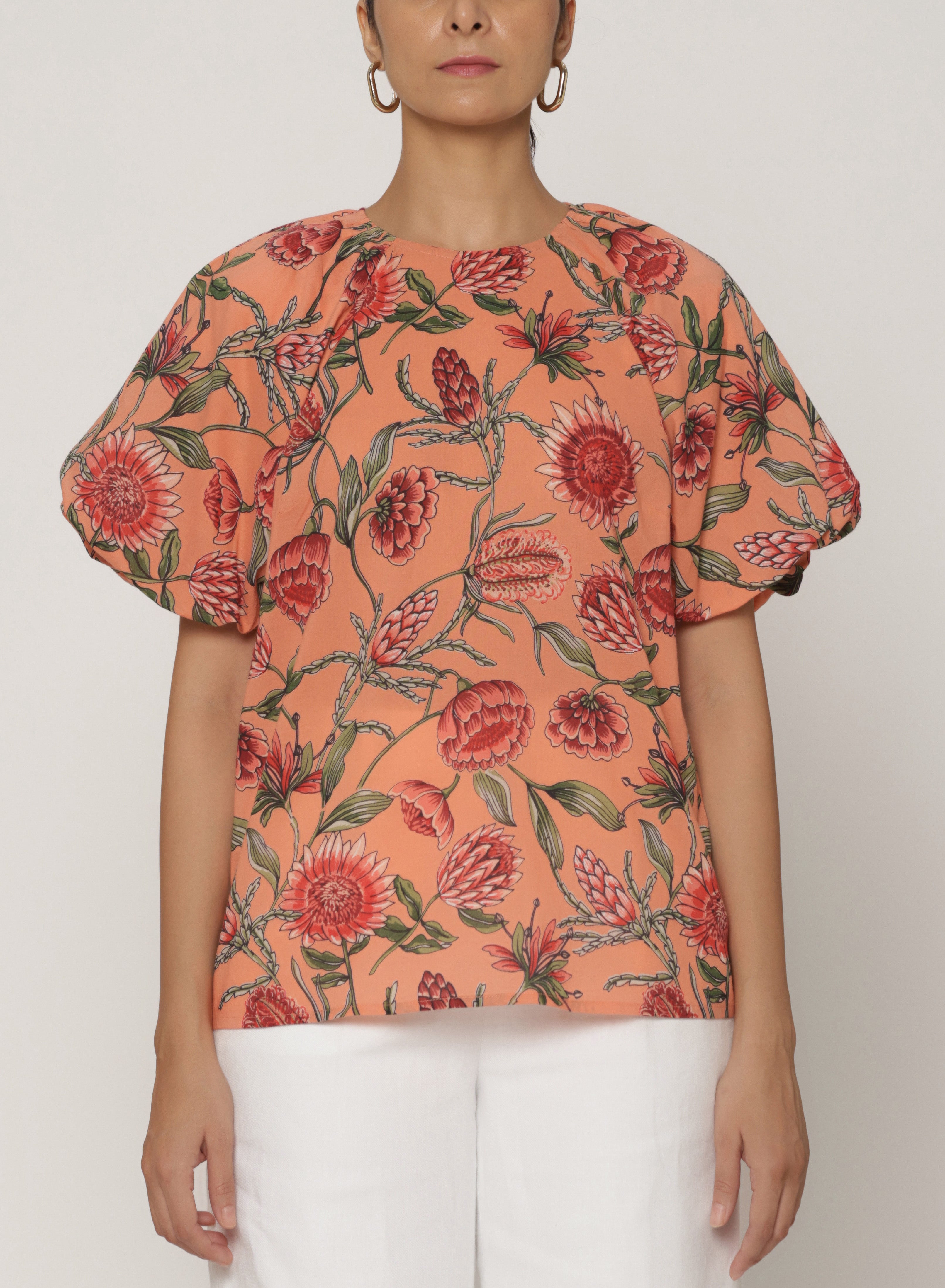 Santos Top Protea Crabapple